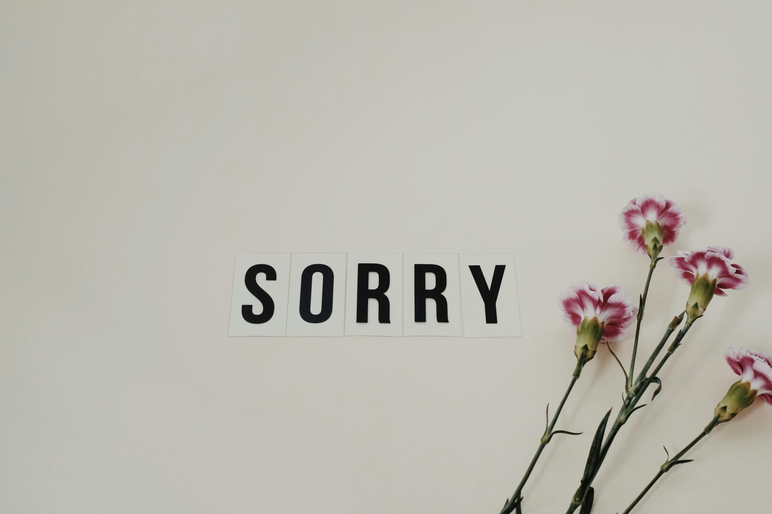 Word sorry beside flowers on white surface