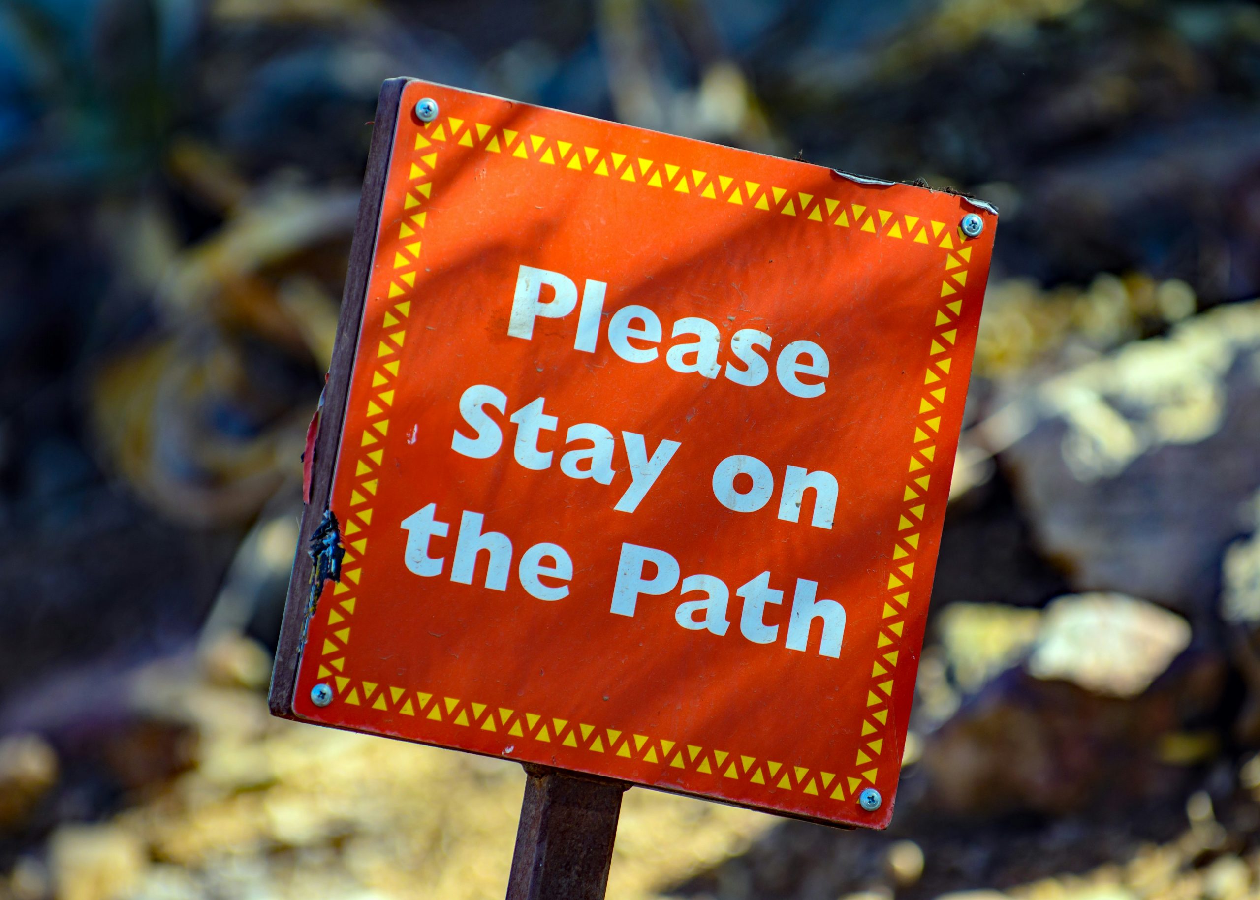 I was walking thru the zoo and saw this sign. The angle and the color caught my eye. It made me think about how everyone is telling us what to do. Or the counter to that … Stay on the Path … hang in there. Also, all of the other signs were perfectly aligned and standing straight up. But this one sign, just this one, was a rebel.